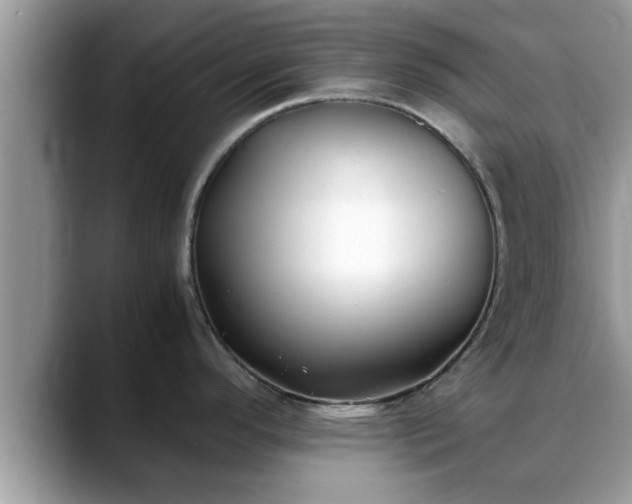 X0000088681296200706071418