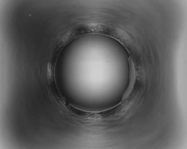 X0000088681298200706071418