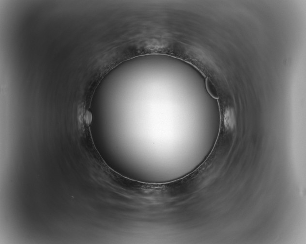 X0000088681299200706071418