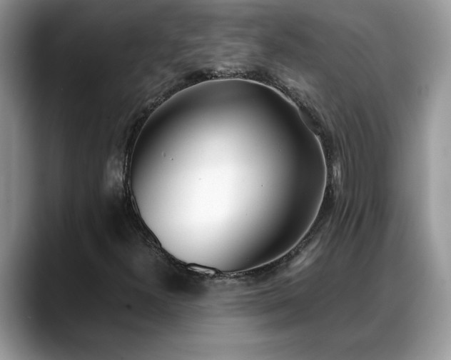 X0000088681300200706071418