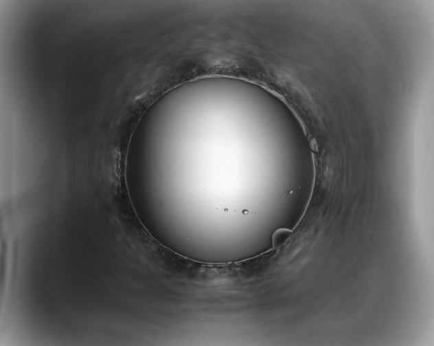 X0000088681301200706071418