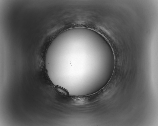 X0000088681303200706071418