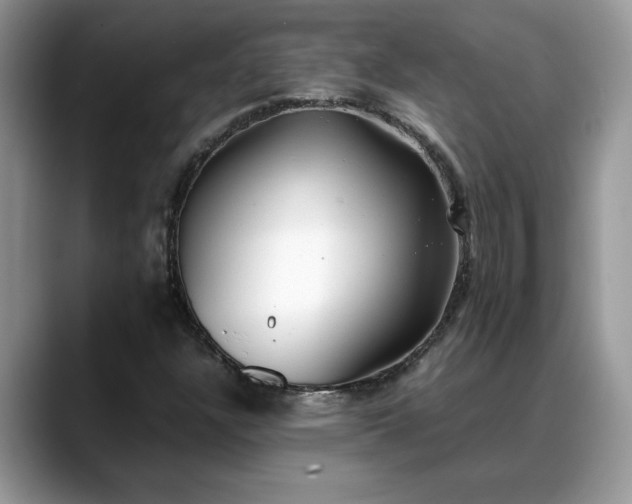 X0000088681304200706071418