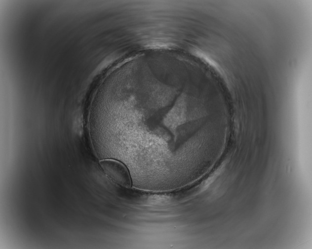 X0000088681306200706071418