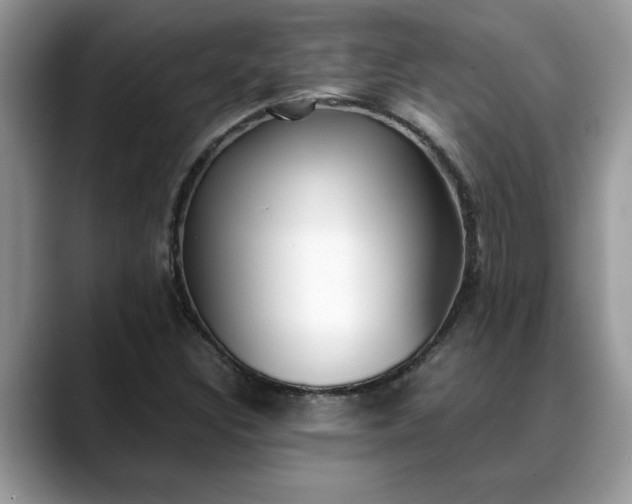 X0000088681308200706071418