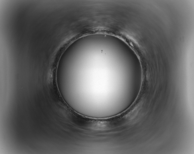 X0000088681309200706071418