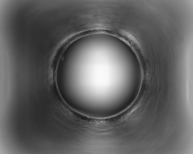 X0000088681310200706071418
