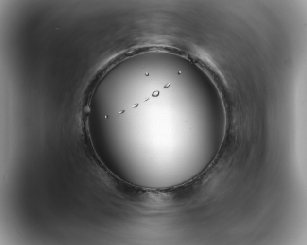 X0000088681312200706071418