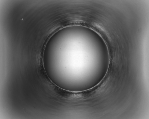 X0000088681313200706071418
