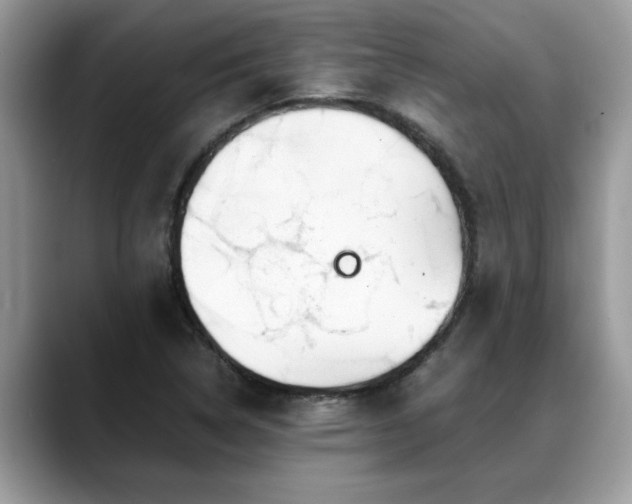 X0000088681314200706071418