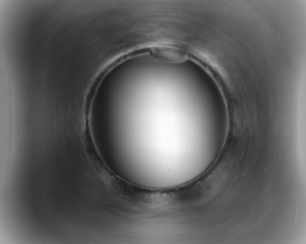 X0000088681316200706071418