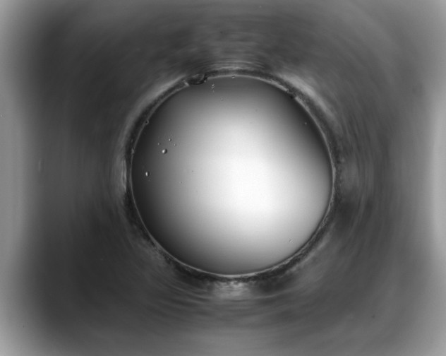 X0000088681317200706071418