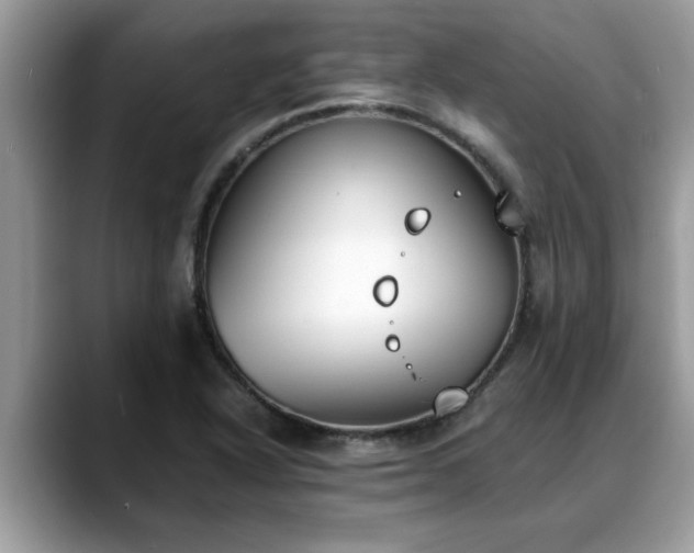X0000088681318200706071418
