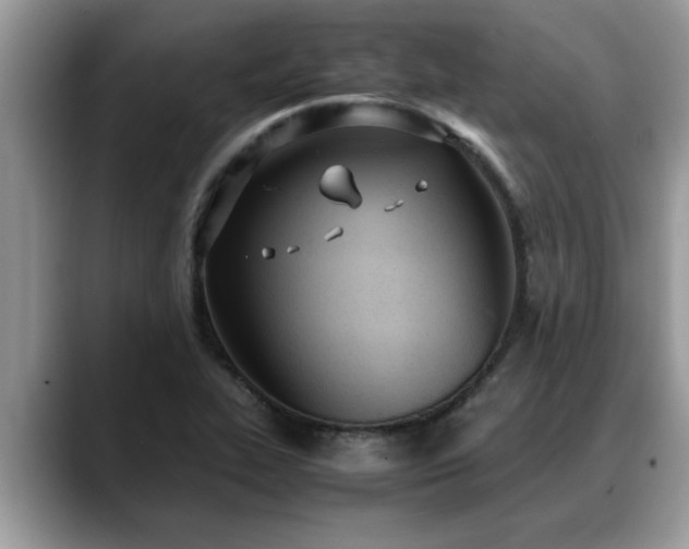 X0000088681319200706071418