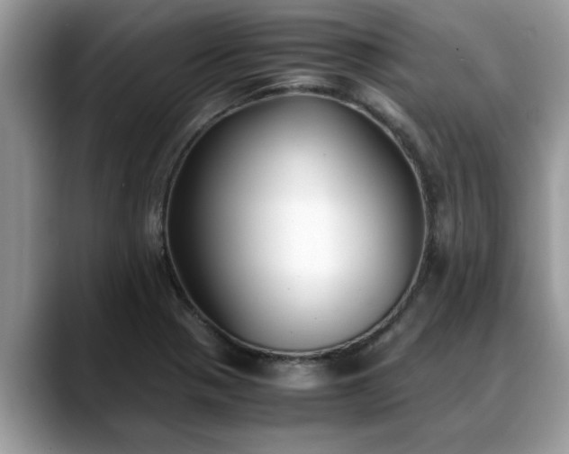 X0000088681321200706071418