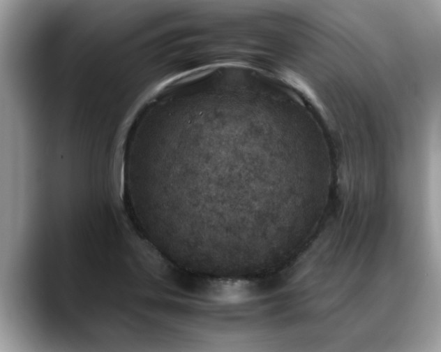 X0000088681323200706071418