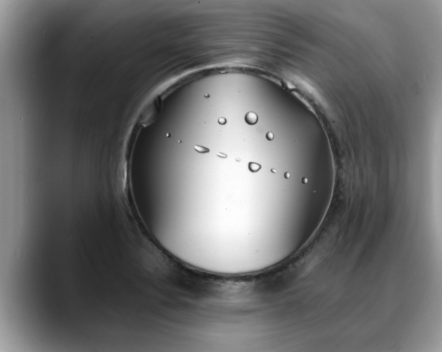 X0000088681324200706071418