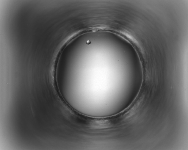 X0000088681325200706071418