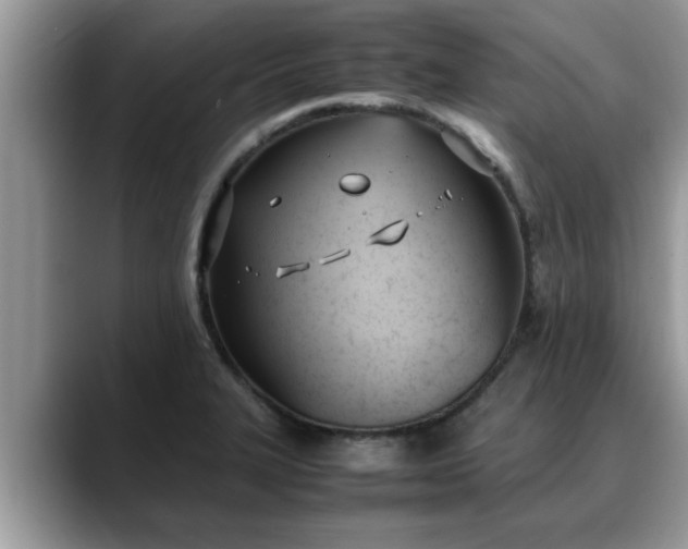 X0000088681327200706071418