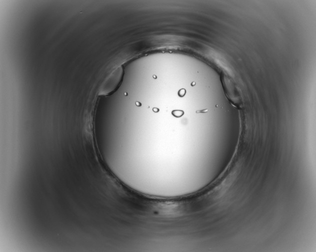 X0000088681329200706071418
