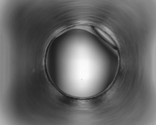 X0000088681330200706071418