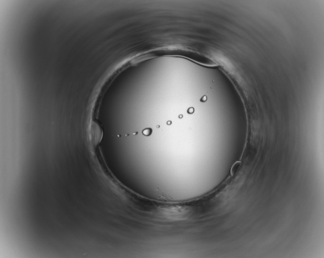 X0000088681331200706071418