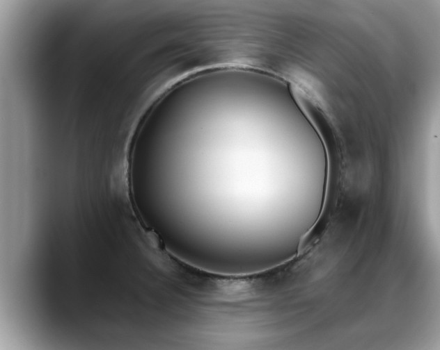 X0000088681332200706071418