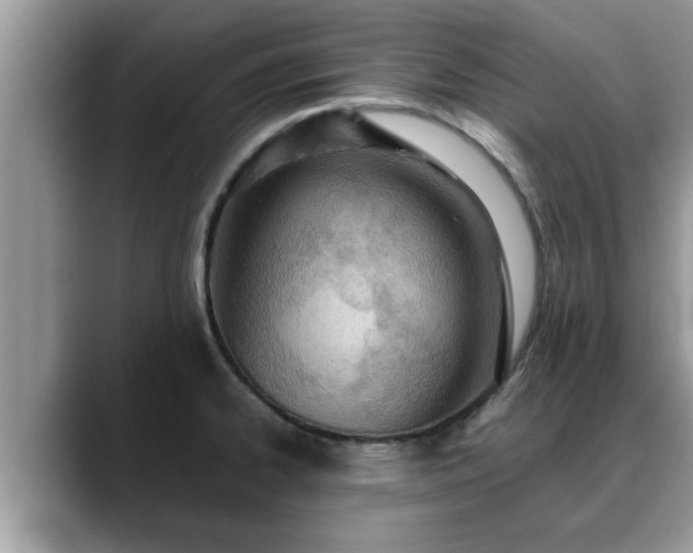 X0000088681334200706071418