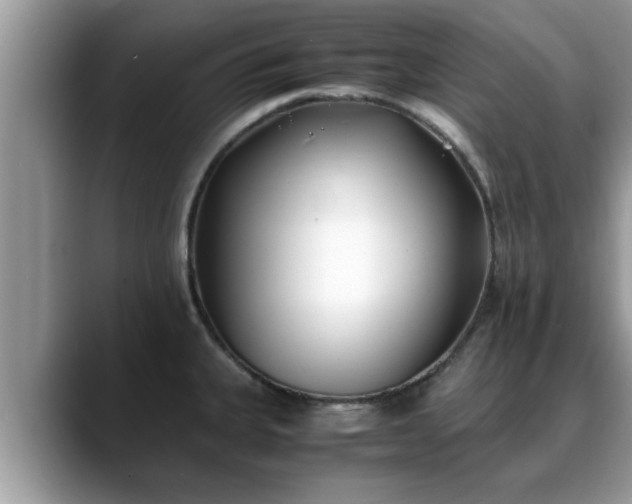 X0000088681335200706071418