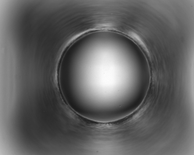 X0000088681336200706071418