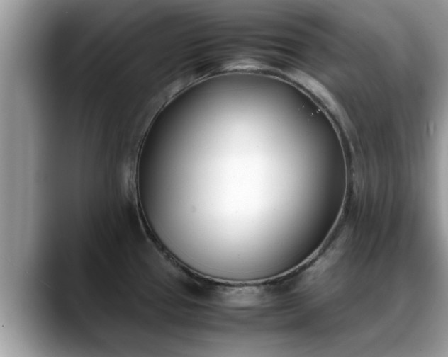 X0000088681337200706071418