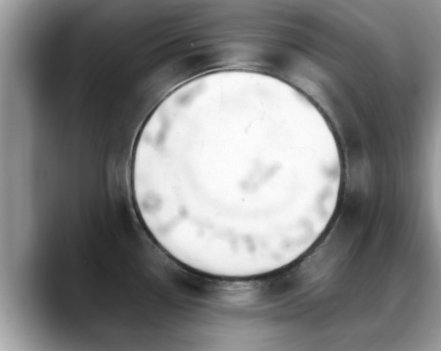 X0000088681338200706071418