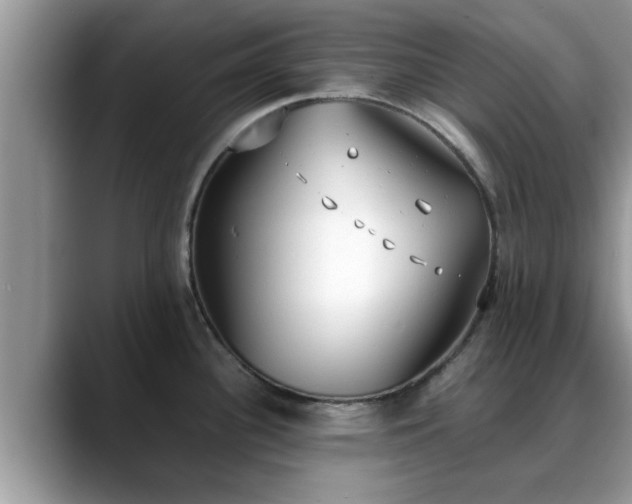 X0000088681340200706071418