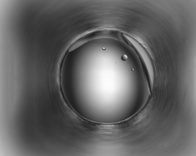 X0000088681342200706071418