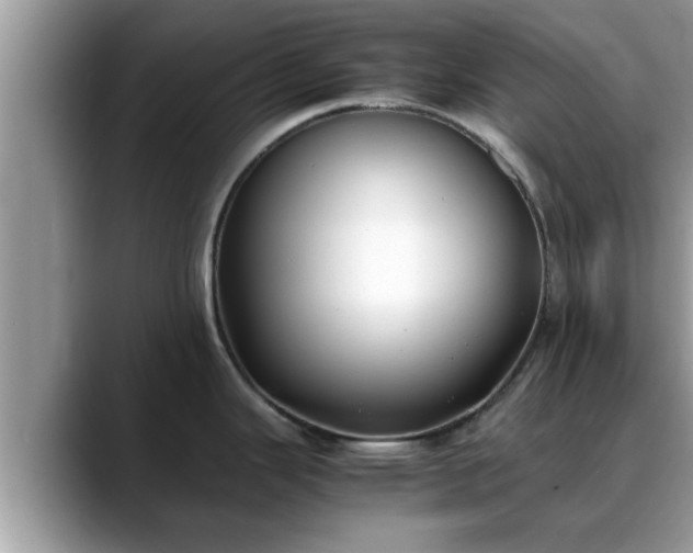 X0000088681343200706071418