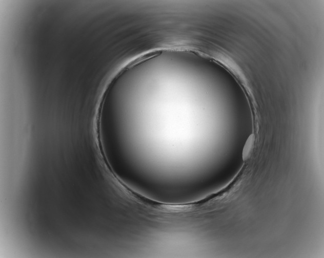 X0000088681344200706071418
