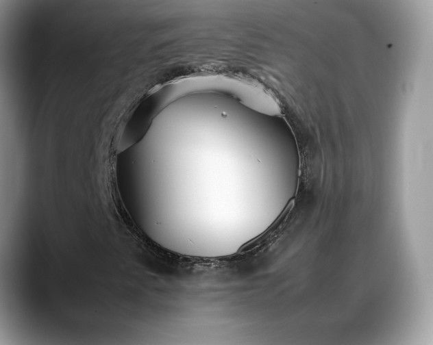 X0000088681345200706071418