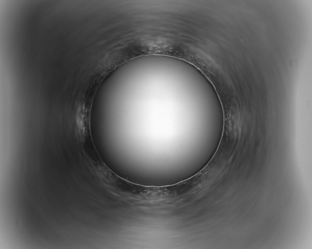 X0000088681346200706071418