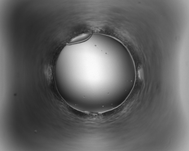 X0000088681347200706071418