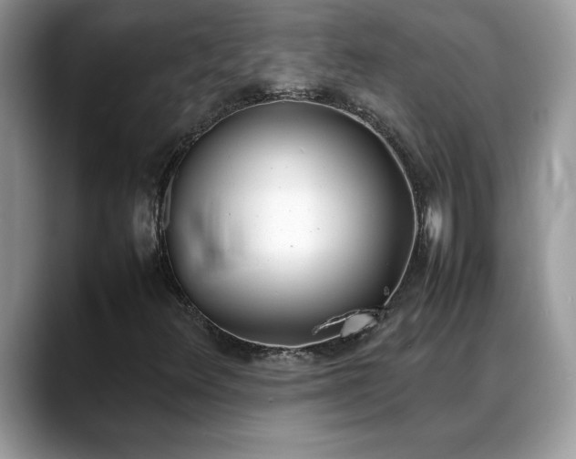 X0000088681348200706071418