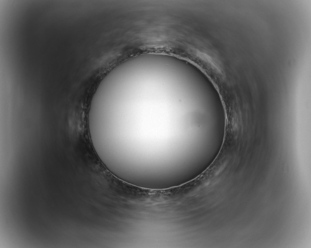 X0000088681350200706071418
