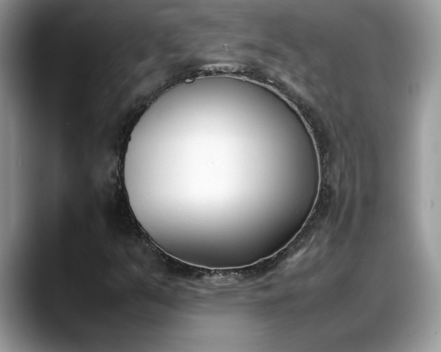 X0000088681351200706071418