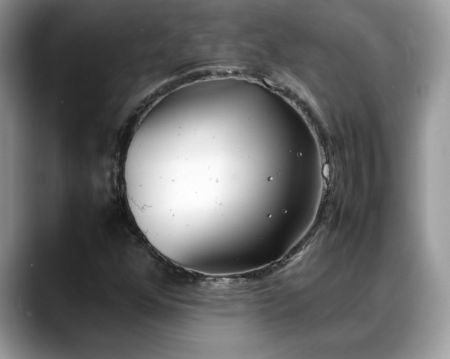 X0000088681352200706071418