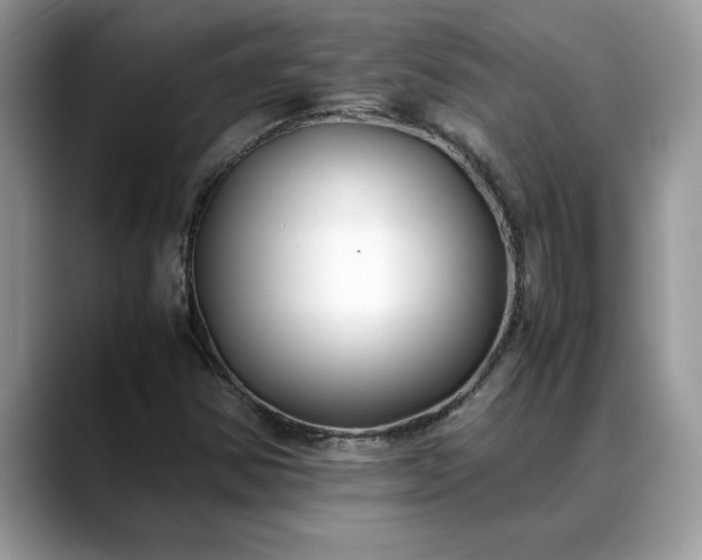 X0000088681354200706071418
