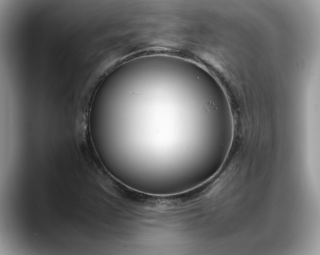 X0000088681355200706071418