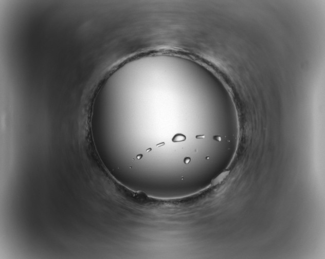 X0000088681359200706071418
