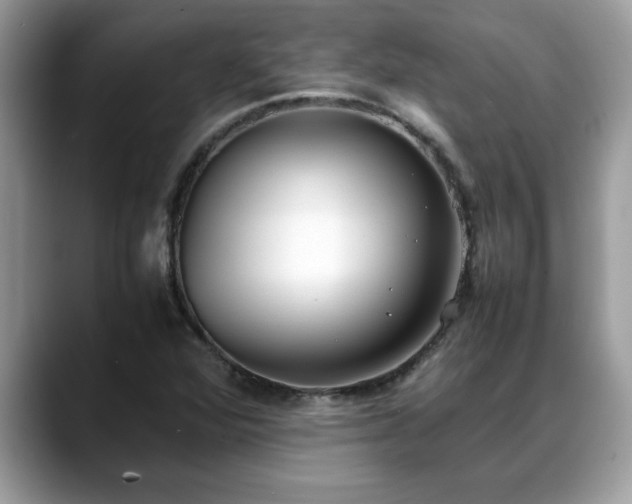 X0000088681360200706071418