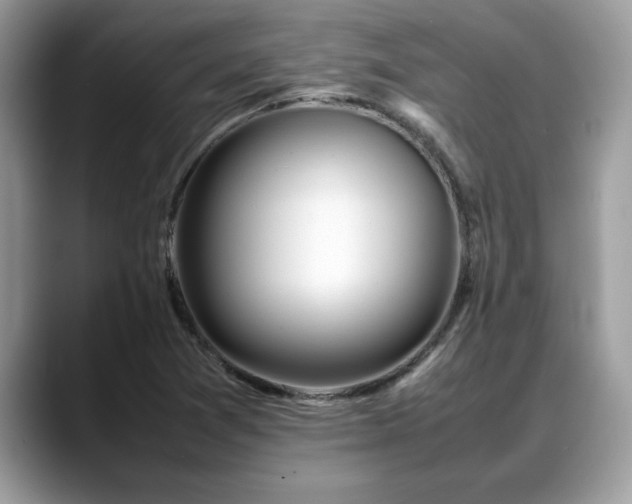 X0000088681361200706071418