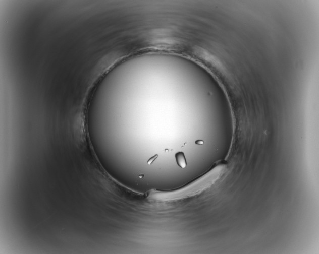 X0000088681362200706071418