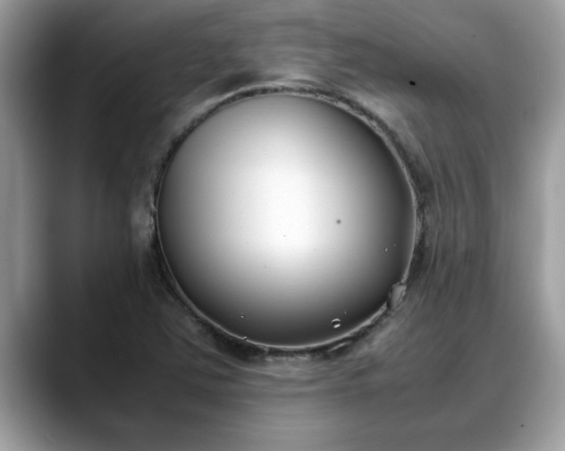 X0000088681363200706071418